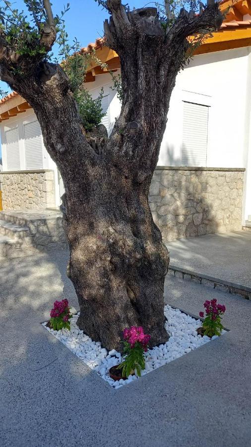 فيلا Casa Di'Elen فاليراكي المظهر الخارجي الصورة